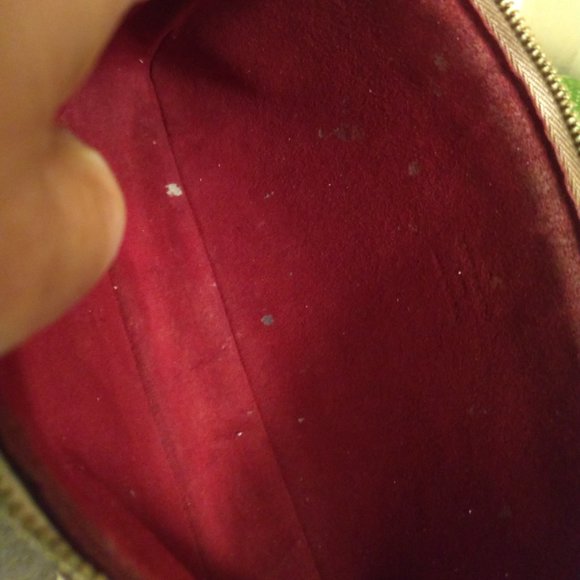 Louis Vuitton Multicolor Pochette Accessoires - Picture 15 of 16